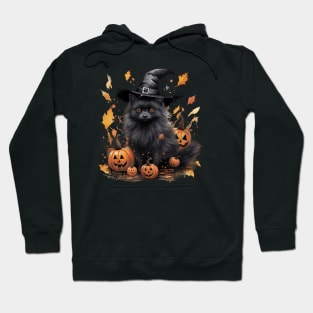 Schipperke Halloween Design Hoodie